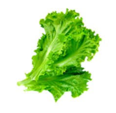 Amins%20Kebab%20&%20Pizza%20haus